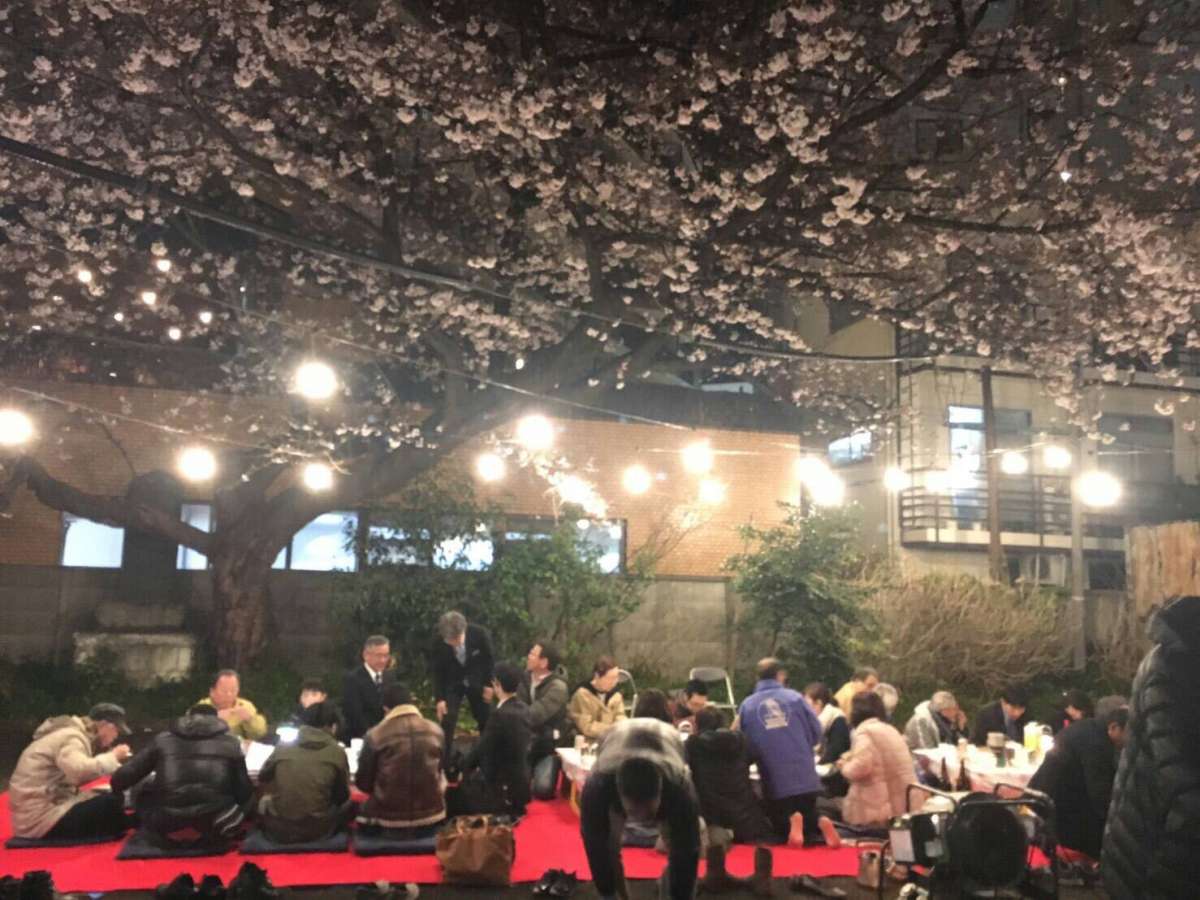 お花見