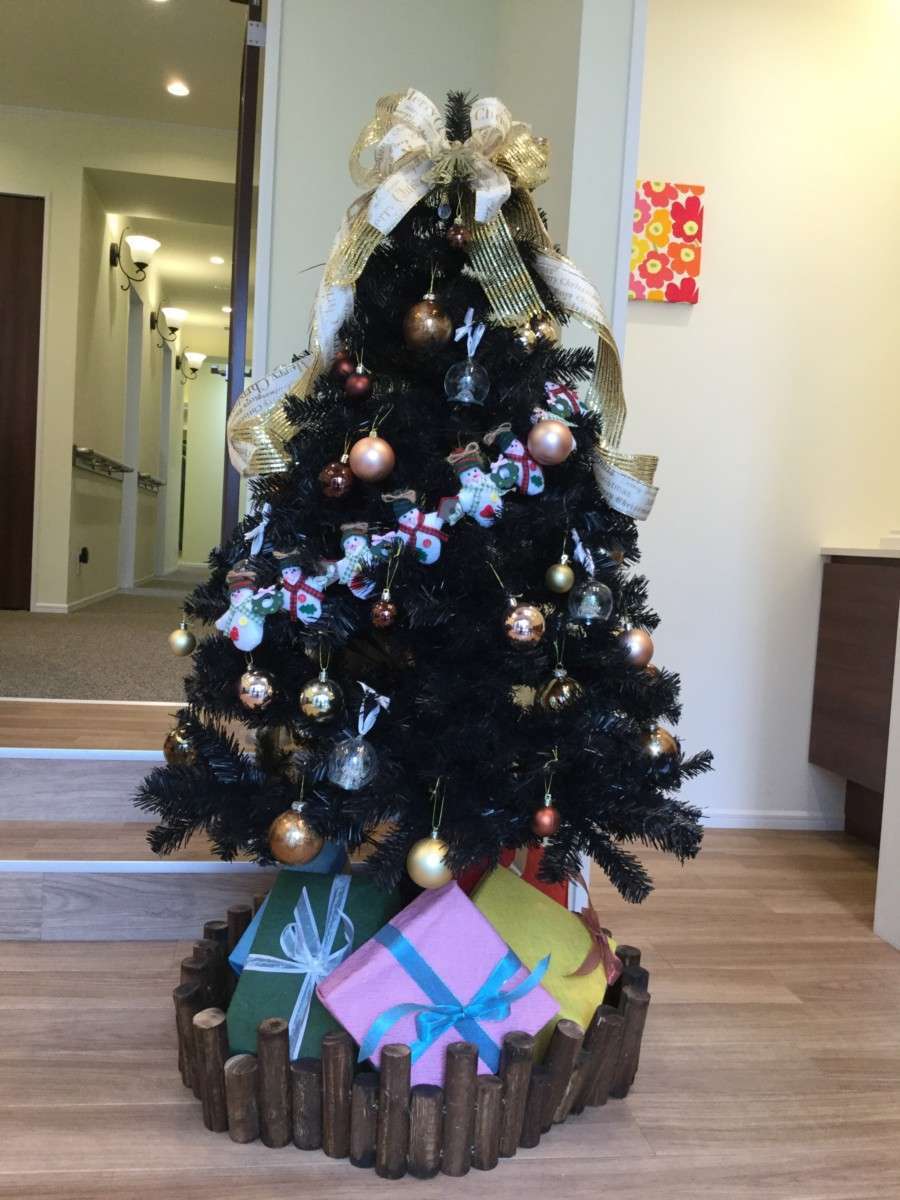 クリスマスツリーを出しました！